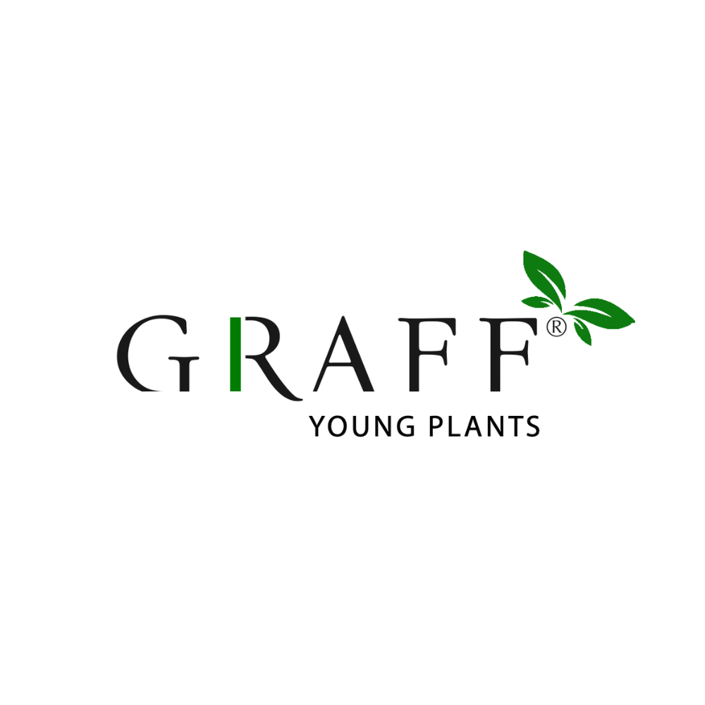 Graff Kristensen establishes new joint company: Graff Young Plants A/S